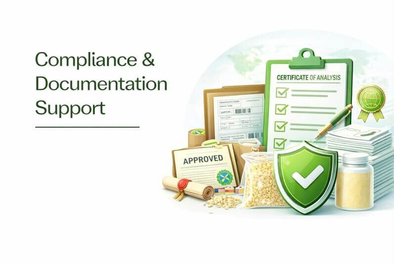 chatgpt image jan 15, 2026, 11 19 57 am